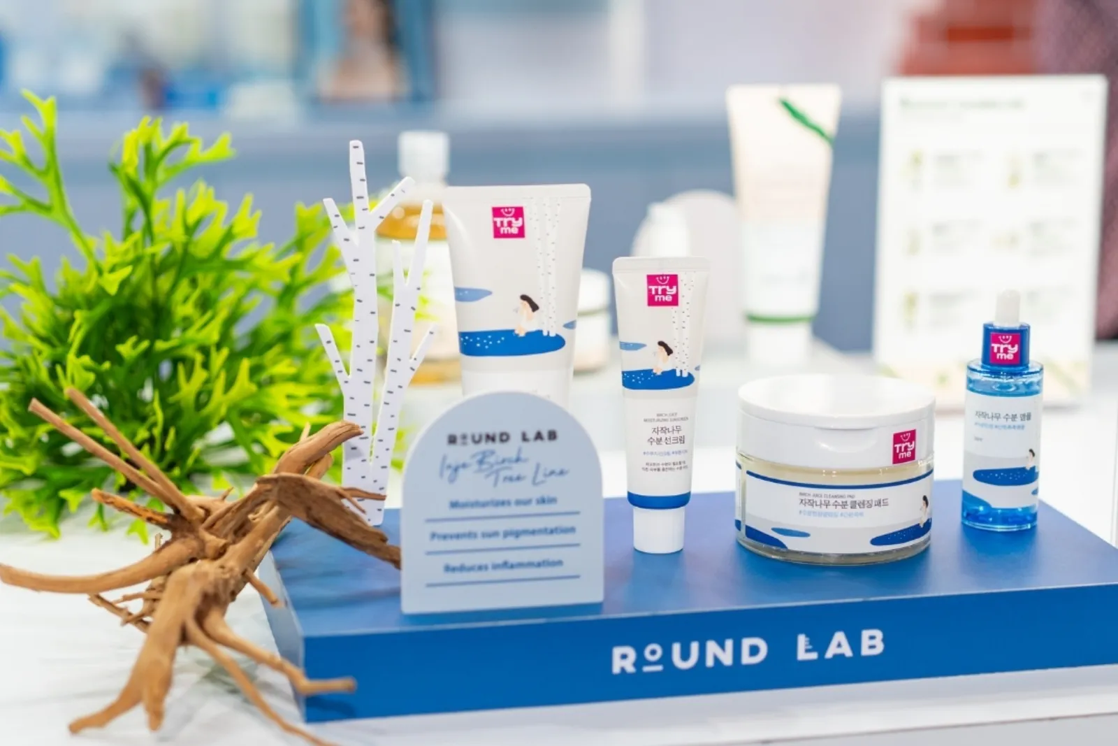 Round Lab at Watsons K-Beauty Festa — Expo Booth by La Memoria (photo 7)